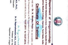 bindhu-awards-certificates-4