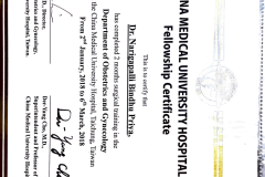 bindhu-awards-certificates-5